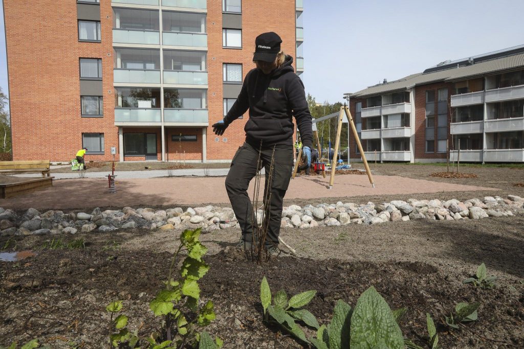 Puutarhuri istuttamassa kasveja kerrostalon pihalle. Takana viherrakentajan tekemä leikkikenttä, jonka ympärillä luonnonkivistä tehty reuna-alue.